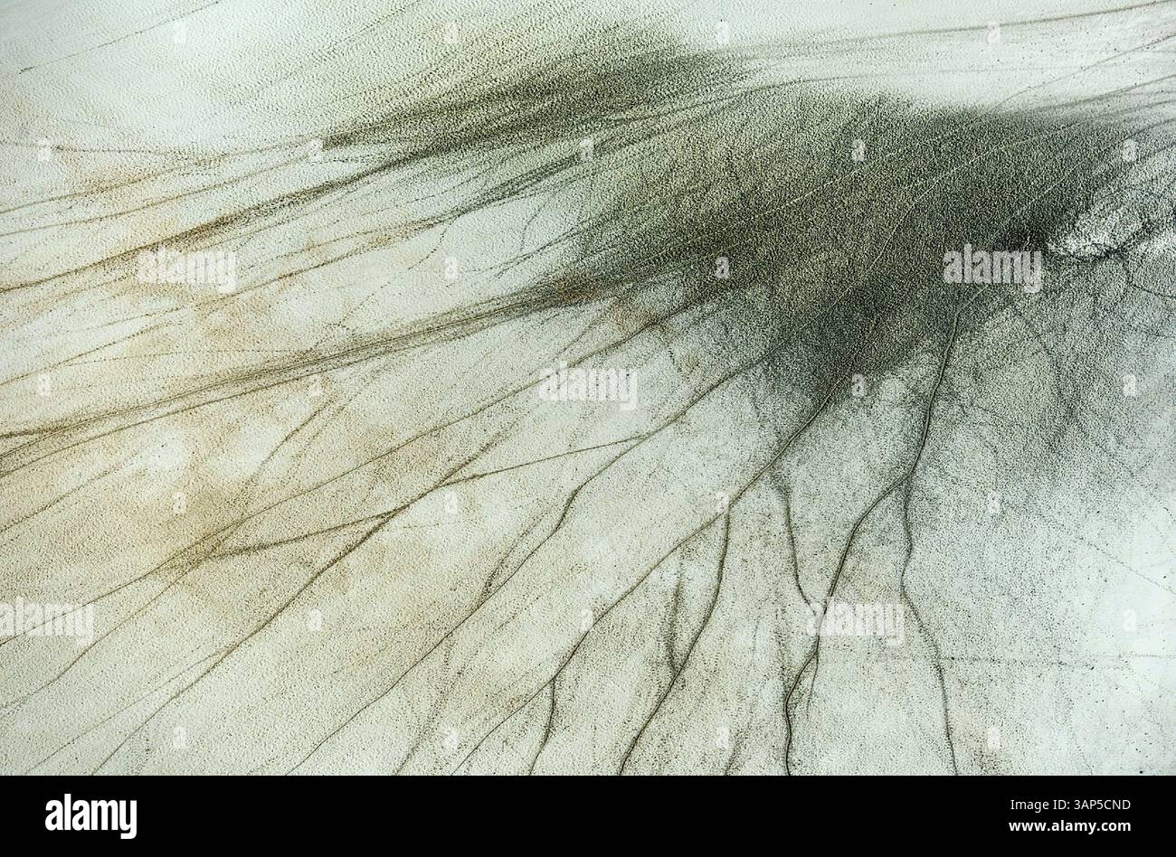 Vista aerea del tranquillo lago salato secco con motivi astratti e forme organiche, Kalmykia, Russia. Foto Stock