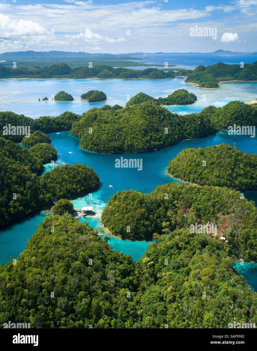 Vista aerea della laguna di Sugba, Siargao, Filippine. Foto Stock