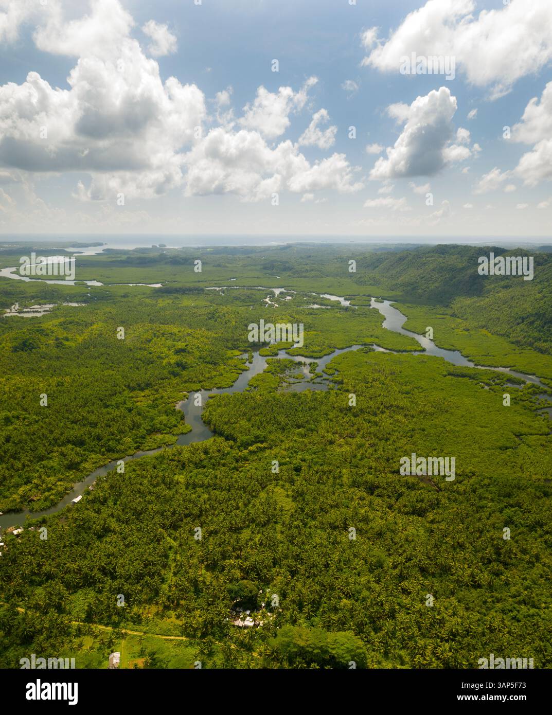 Vista aerea di una valle con un fiume nell'isola di Siargao, Filippine. Foto Stock