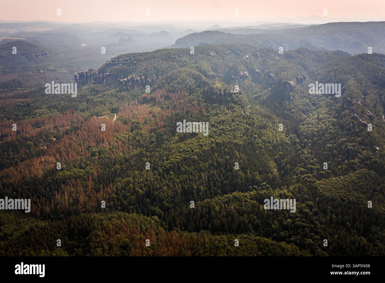 Vista aerea delle montagne di arenaria dell'Elba nel Parco Nazionale di Sächsische Schweiz, Germania. Foto Stock