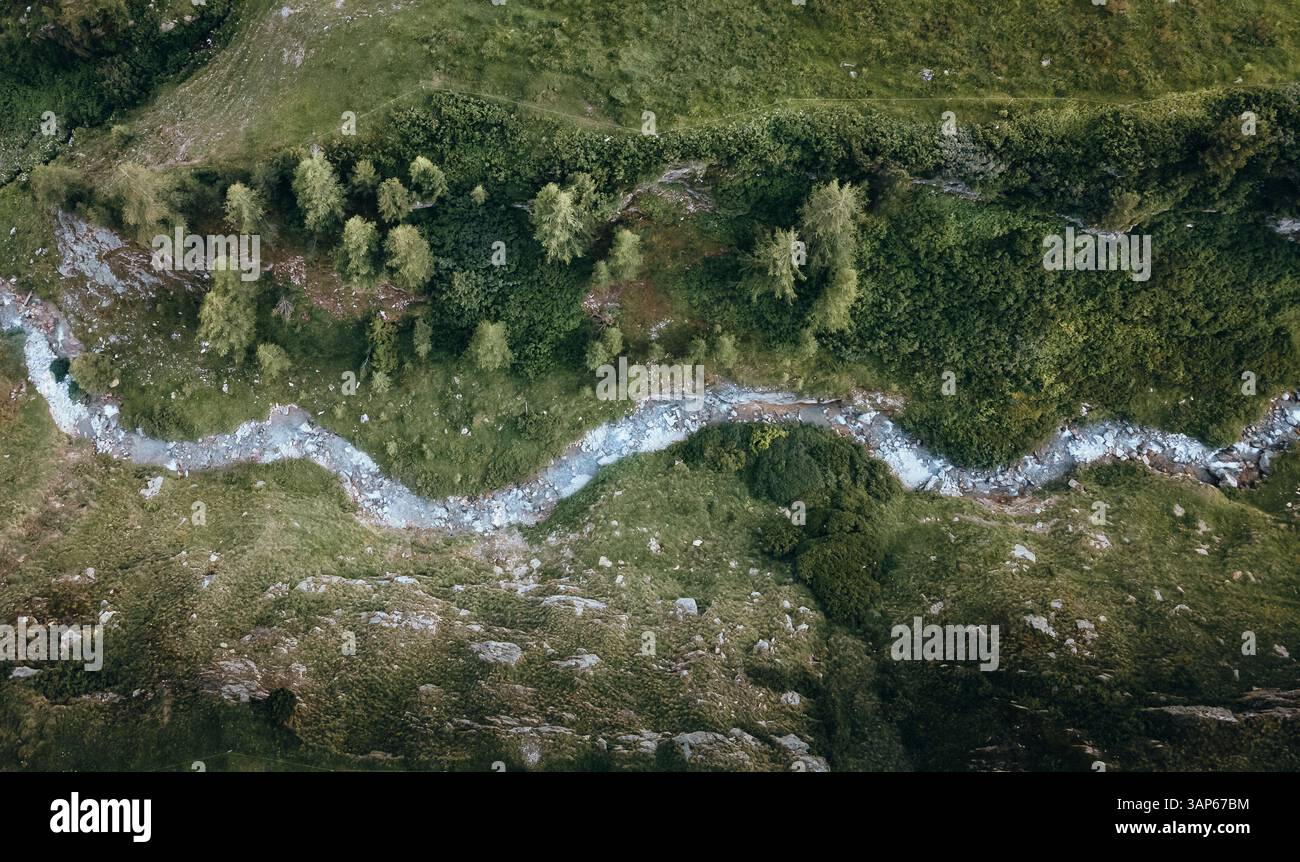 Vista aerea della vegetazione lussureggiante e di un torrente tortuoso tra le tranquille foreste delle Alpi, la Punt-Chamues-ch, Kanton Graubunden, Svizzera. Foto Stock