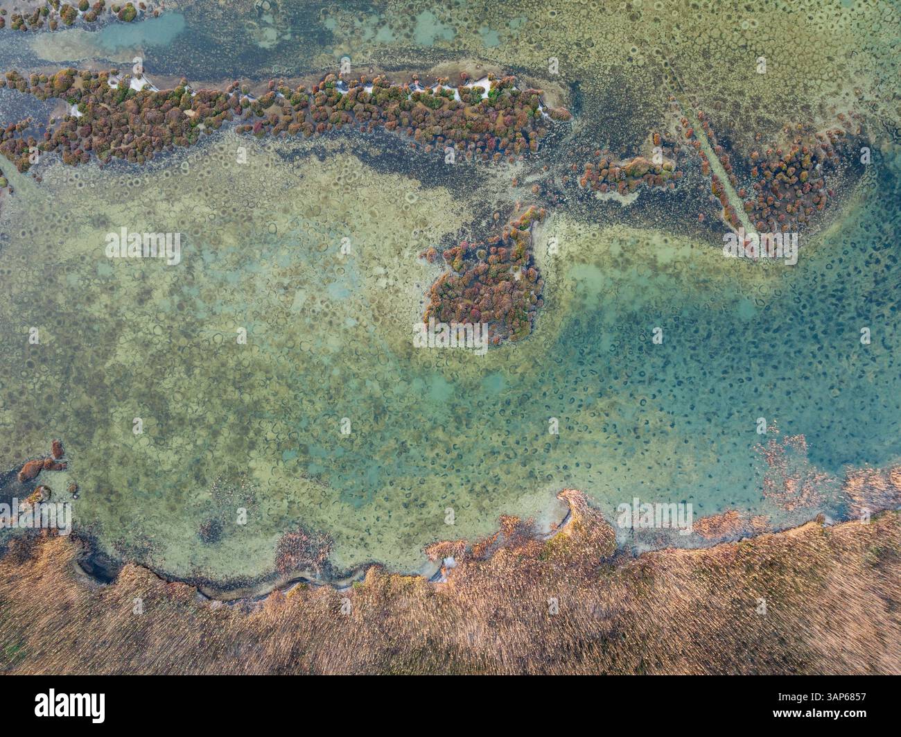 Vista aerea delle tranquille zone umide con acqua serena e vegetazione lussureggiante, Salinas de Cerrillos, Almeria, Spagna. Foto Stock