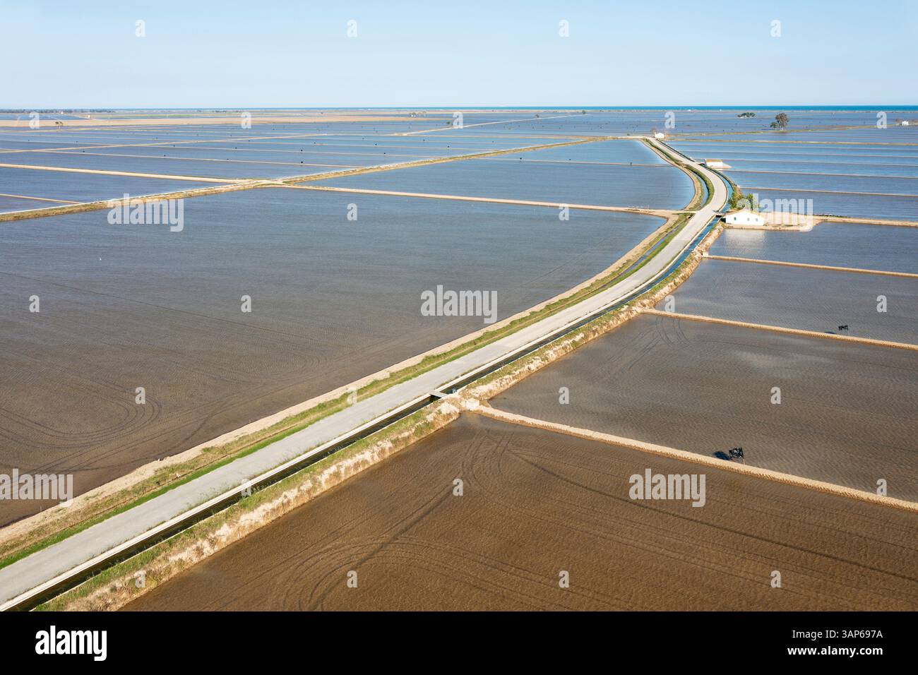 Vista aerea delle risaie allagate a maggio. Riserva naturale del Delta dell'Ebro, provincia di Tarragona, Catalogna, Spagna. Foto Stock