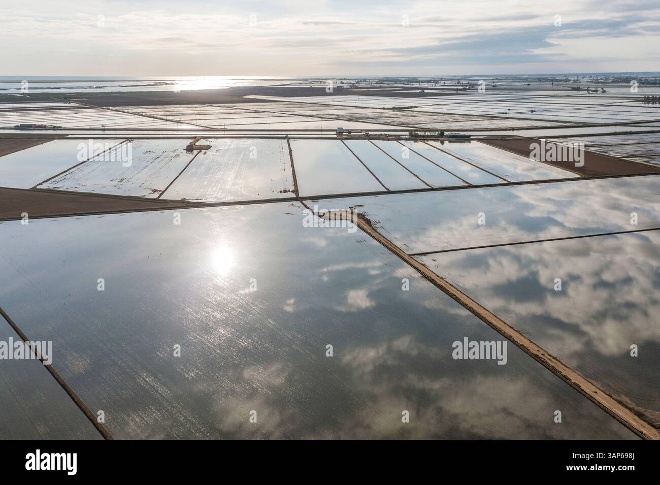 Vista aerea delle risaie allagate a maggio. Riserva naturale del Delta dell'Ebro, provincia di Tarragona, Catalogna, Spagna. Foto Stock