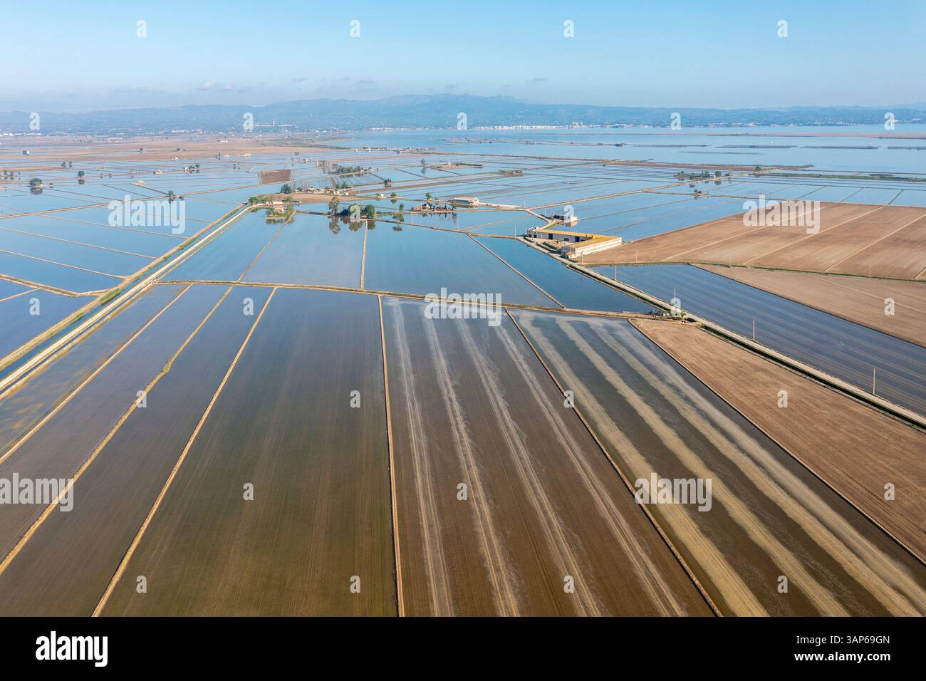 Vista aerea delle risaie allagate a maggio. Riserva naturale del Delta dell'Ebro, provincia di Tarragona, Catalogna, Spagna. Foto Stock