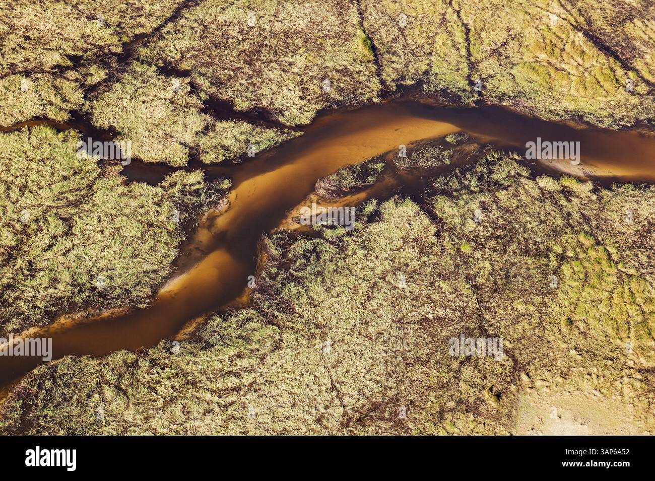 Vista aerea del fiume Gomoti con i suoi canali, le isole e la palude di acqua dolce adiacente, il Delta dell'Okavango, la riserva di Moremi, il Botswana. Foto Stock