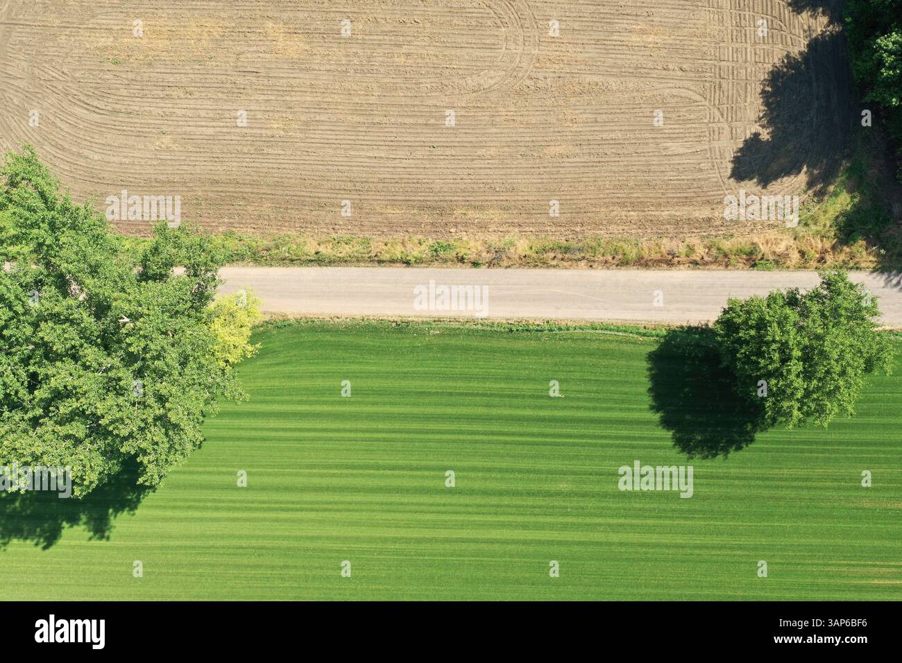 Vista aerea dei campi agricoli, degli alberi e dell'erba di Linear Park, South Windsor, Connecticut, Stati Uniti. Foto Stock