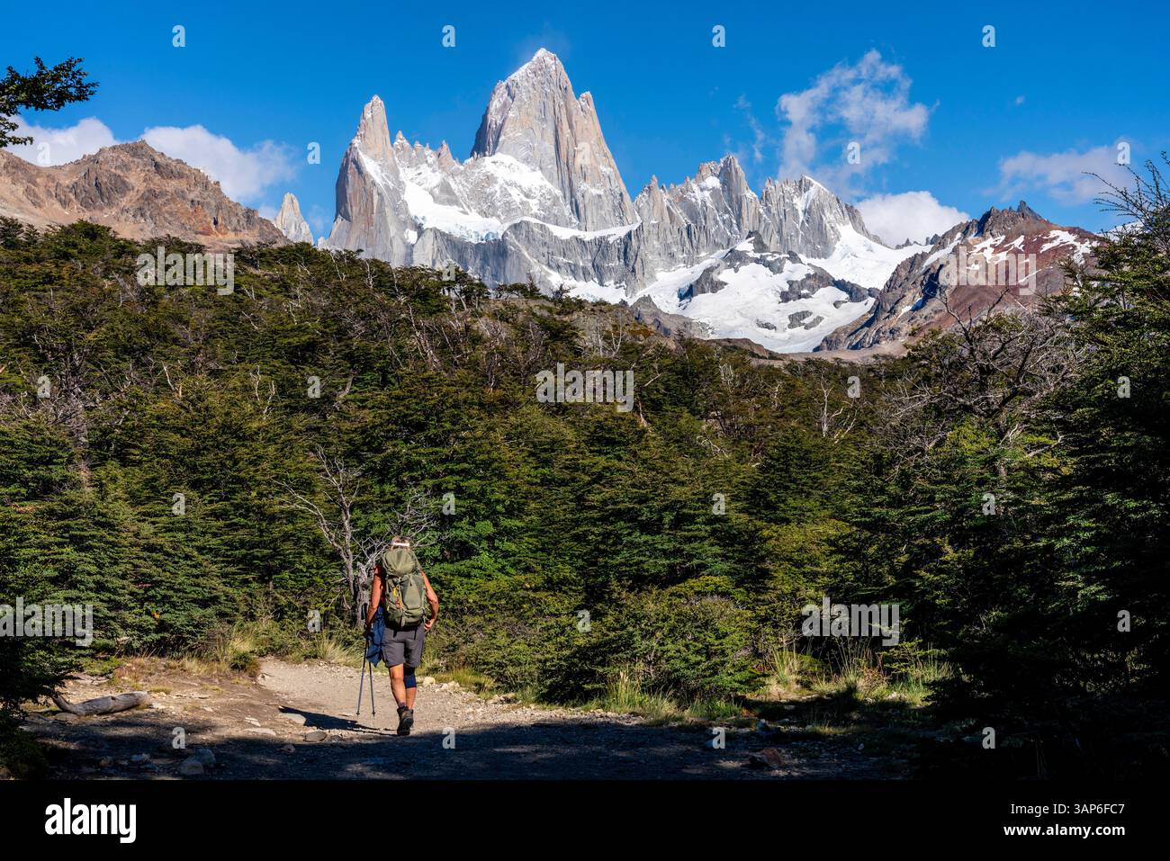 Trekking nell'area del Monte Fitz Roy (Cerro Fitz Roy), vicino al villaggio di El Chalten, al Parque Nacional Los Glaciares, Patagonia, Argentina. Foto Stock Trekking nell'area del Monte Fitz Roy (Cerro Fitz Roy), vicino al villaggio di El Chalten, al Parque Nacional Los Glaciares, Patagonia, Argentina. Foto Stock