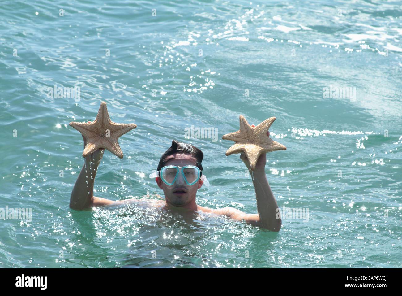 Florida, Stati Uniti. Uomo con due stelle marine appena pescate dal fondo dell'oceano. Foto Stock