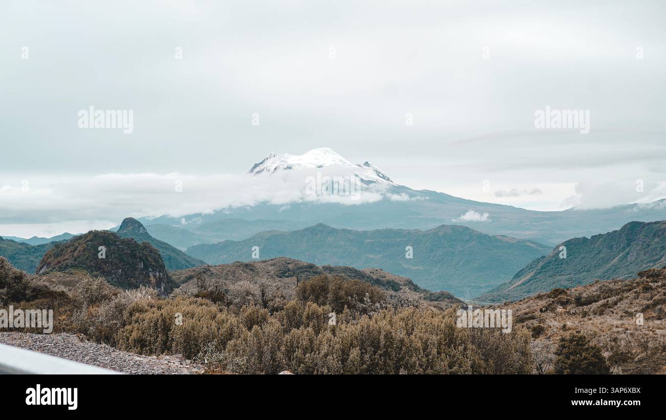L'Amazzonia ecuadoriana e la sua ricchezza naturale Foto Stock