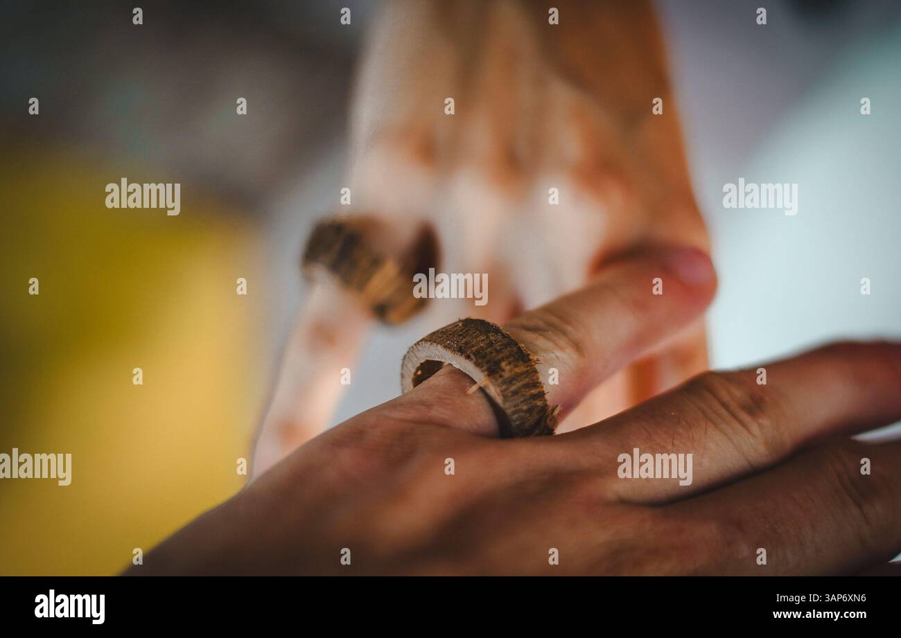 L'Amazzonia ecuadoriana e la sua ricchezza naturale Foto Stock
