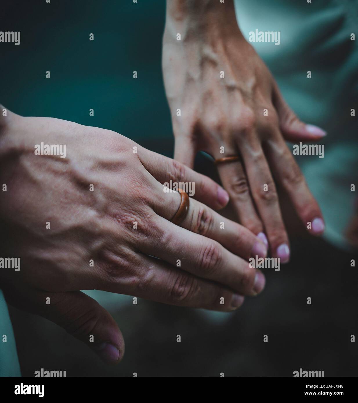 L'Amazzonia ecuadoriana e la sua ricchezza naturale Foto Stock