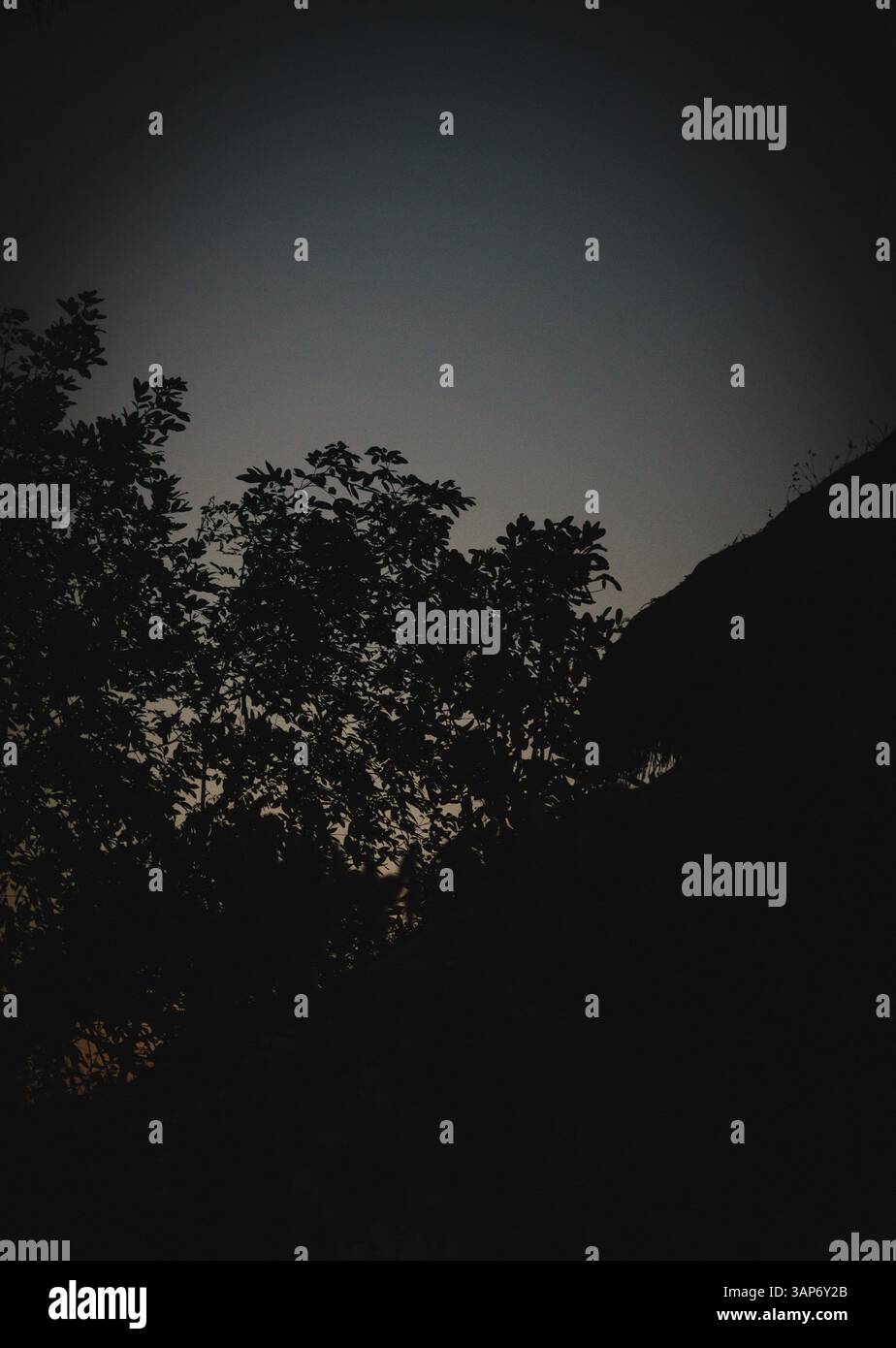 L'Amazzonia ecuadoriana e la sua ricchezza naturale Foto Stock