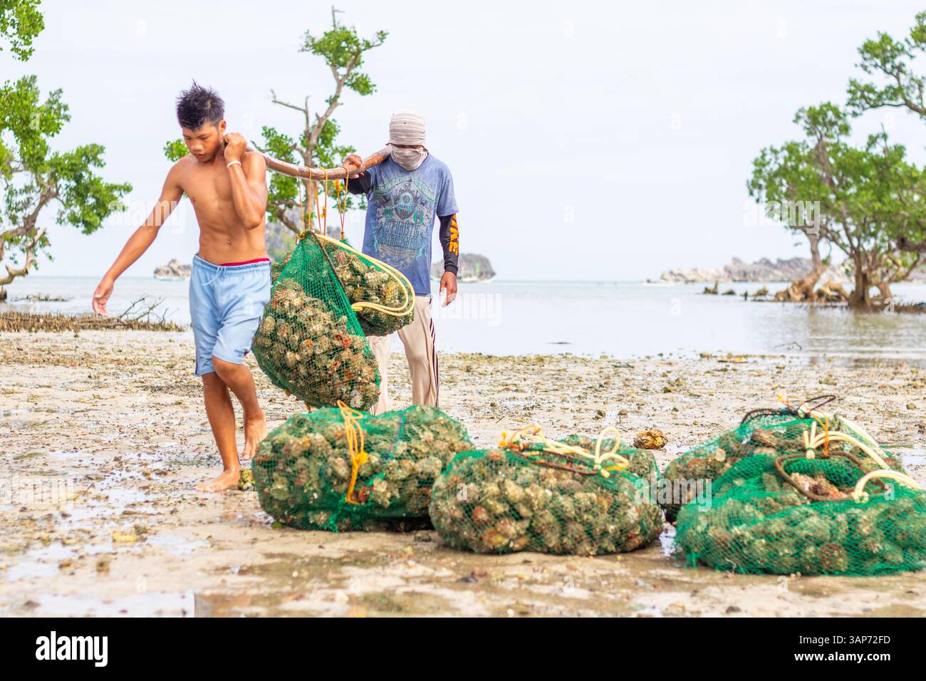 Pescatori filippini che trasportano conchiglie di capesante raccolte da barca a riva nelle isole Gigantes, Iloilo, Filippine Foto Stock