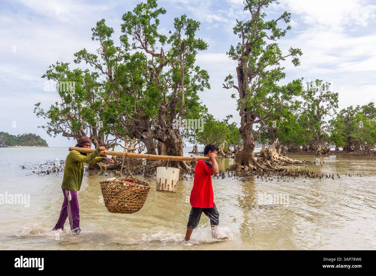 Pescatori filippini che trasportano conchiglie di capesante raccolte da barca a riva nelle isole Gigantes, Iloilo, Filippine Foto Stock