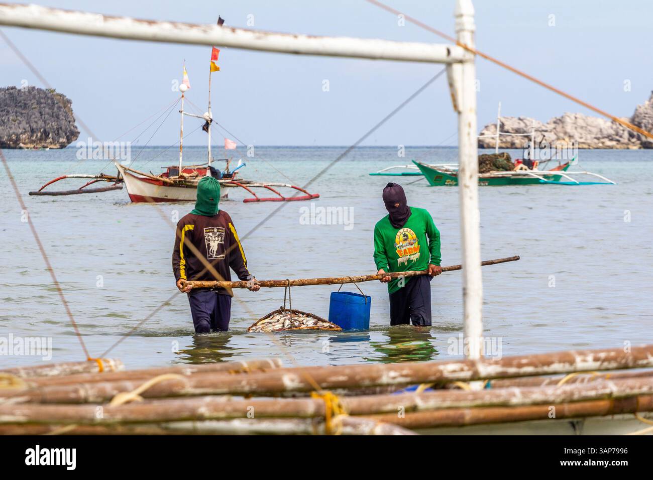 Pescatori filippini che trasportano conchiglie di capesante raccolte da barca a riva nelle isole Gigantes, Iloilo, Filippine Foto Stock