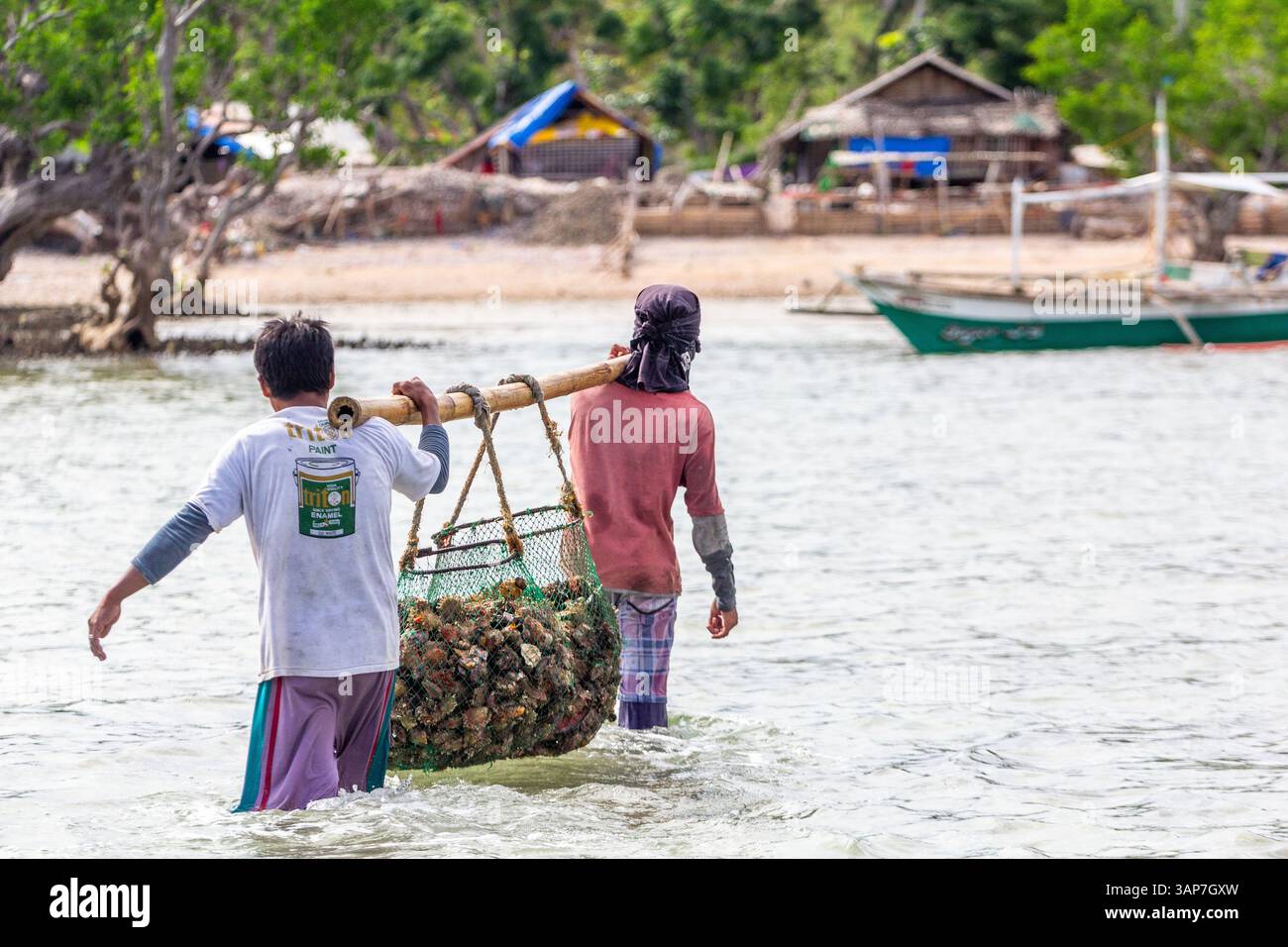 Pescatori filippini che trasportano conchiglie di capesante raccolte da barca a riva nelle isole Gigantes, Iloilo, Filippine Foto Stock