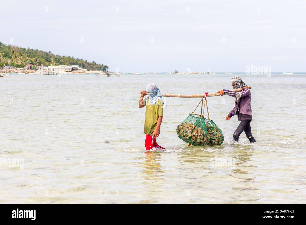 Pescatori filippini che trasportano conchiglie di capesante raccolte da barca a riva nelle isole Gigantes, Iloilo, Filippine Foto Stock