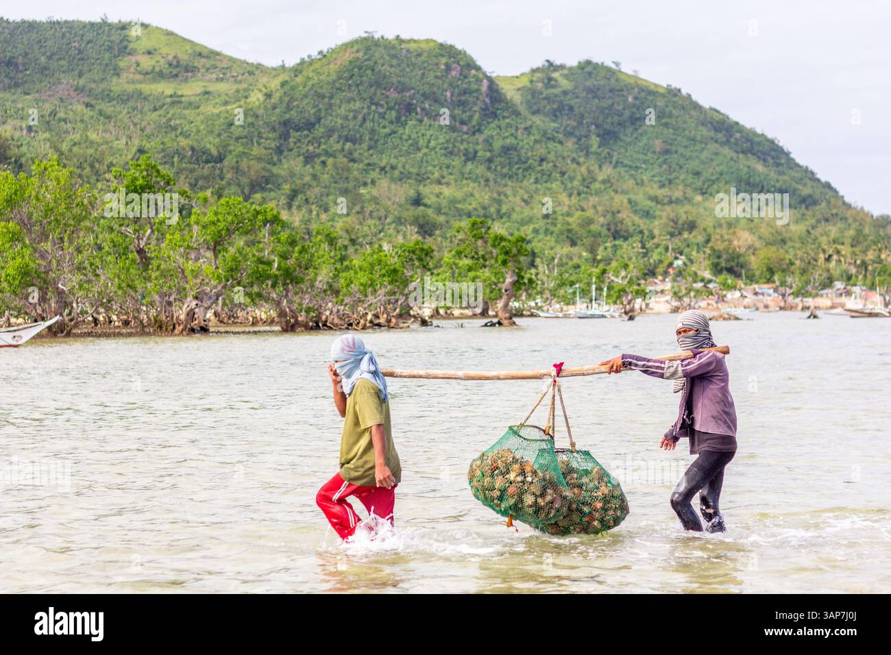 Pescatori filippini che trasportano conchiglie di capesante raccolte da barca a riva nelle isole Gigantes, Iloilo, Filippine Foto Stock