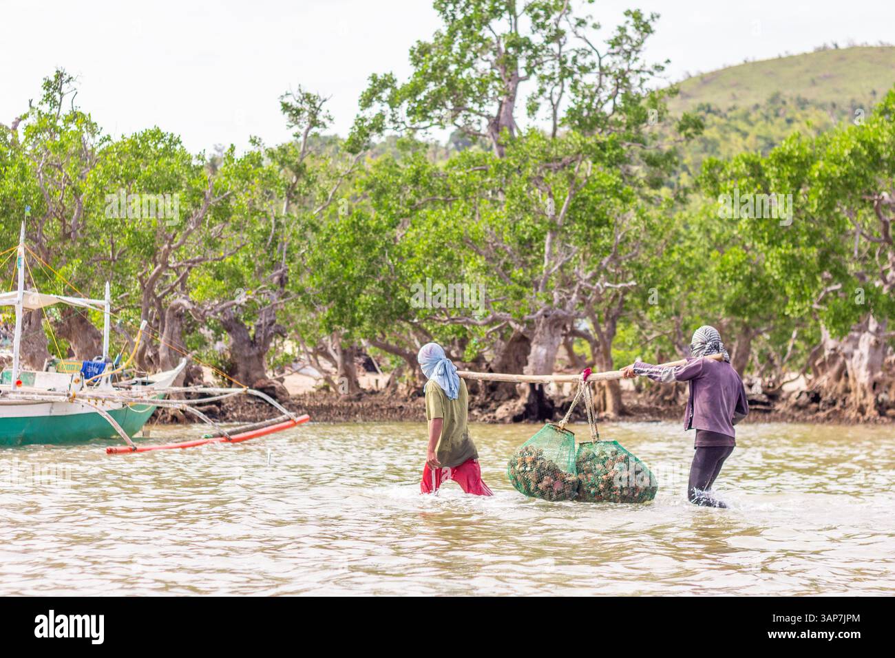 Pescatori filippini che trasportano conchiglie di capesante raccolte da barca a riva nelle isole Gigantes, Iloilo, Filippine Foto Stock