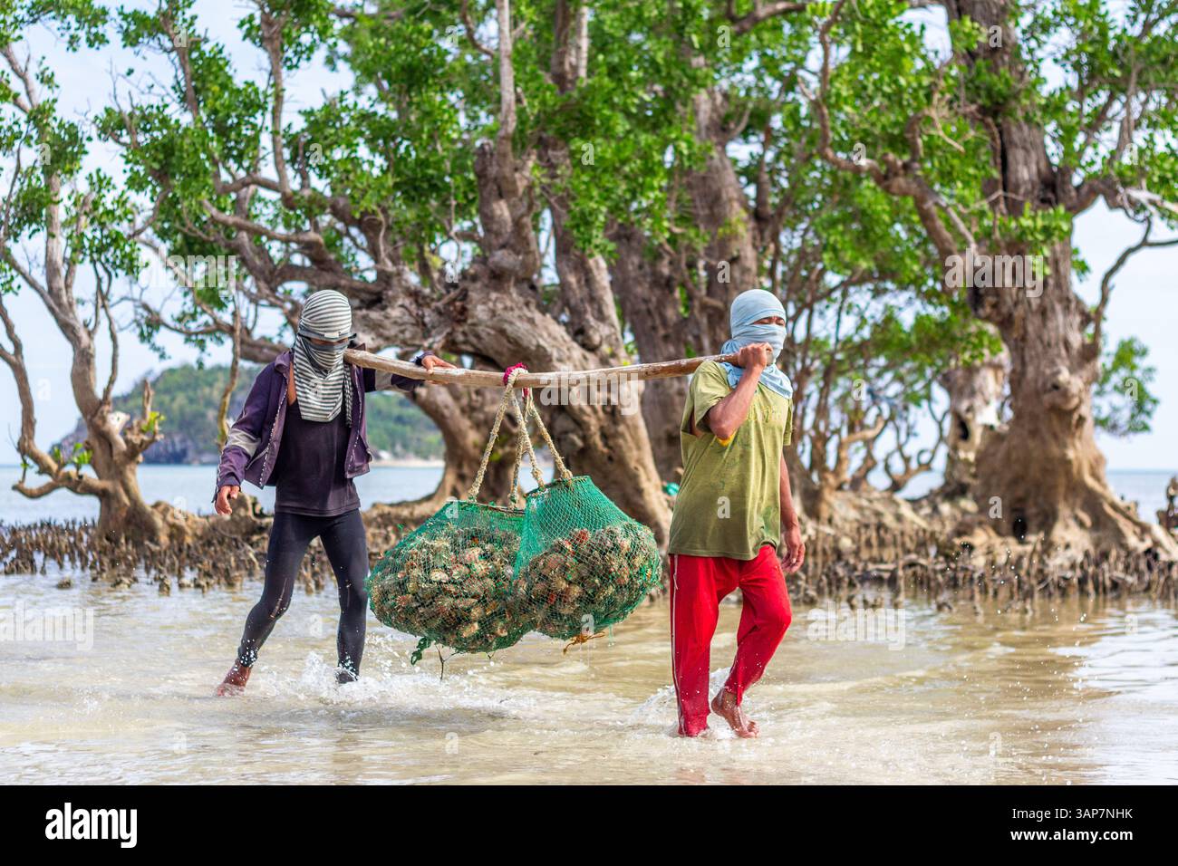 Pescatori filippini che trasportano conchiglie di capesante raccolte da barca a riva nelle isole Gigantes, Iloilo, Filippine Foto Stock