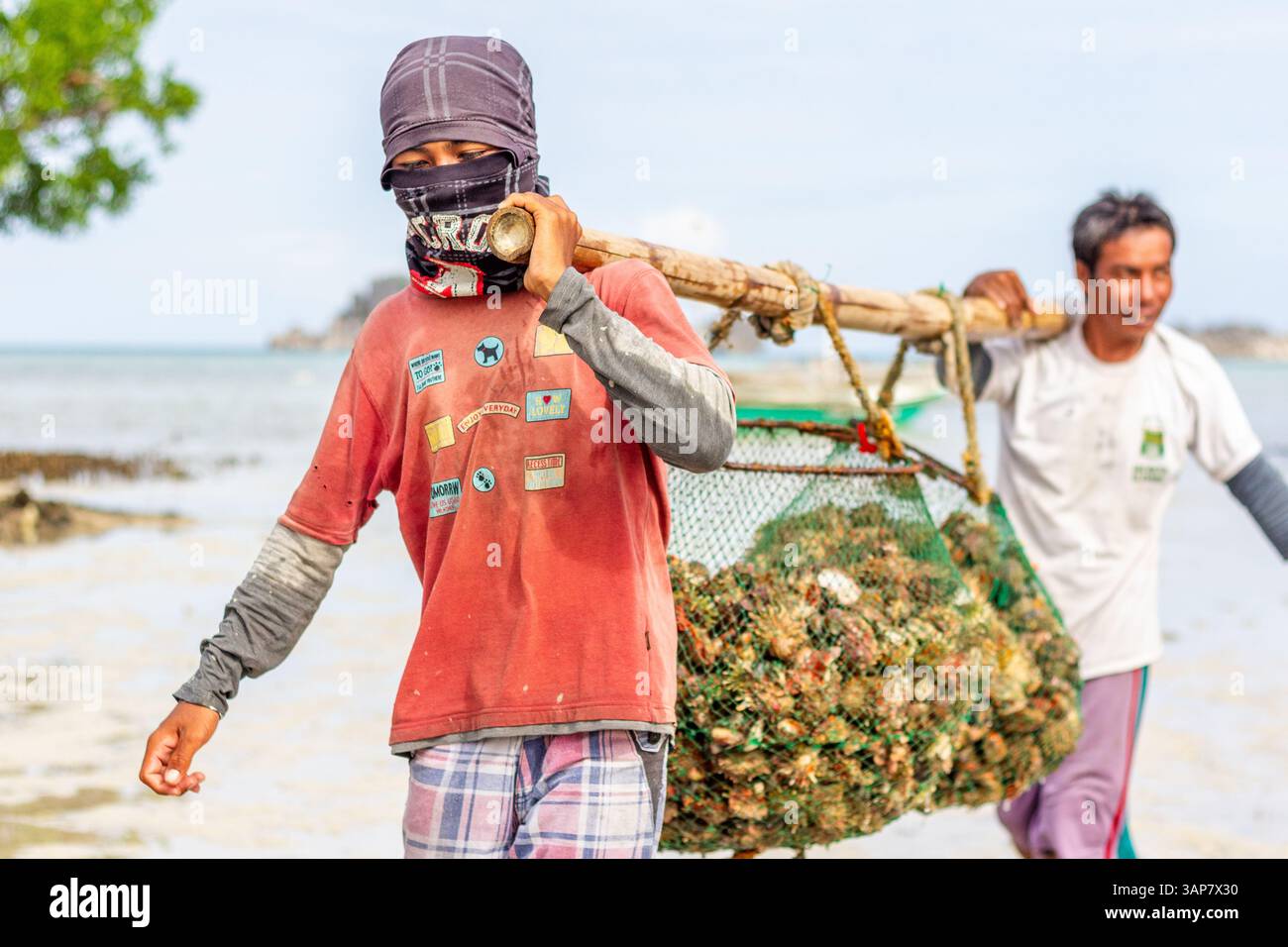 Pescatori filippini che trasportano conchiglie di capesante raccolte da barca a riva nelle isole Gigantes, Iloilo, Filippine Foto Stock