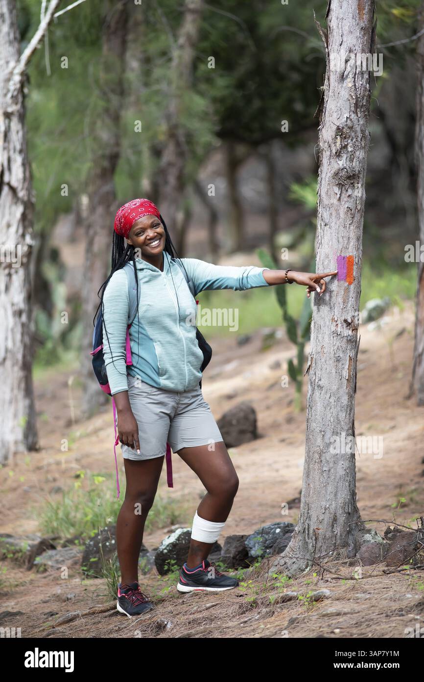 Donna mauriziana, 35 anni, che mostra un sentiero escursionistico in una foresta di casuarina, Rodrigues Island, Mauritius, Africa Foto Stock