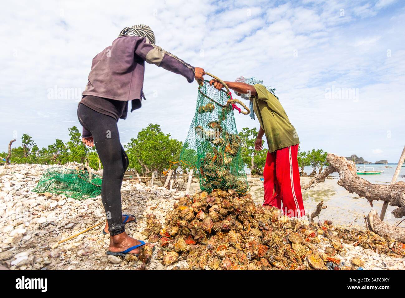 Pescatori filippini che trasportano conchiglie di capesante raccolte da barca a riva nelle isole Gigantes, Iloilo, Filippine Foto Stock