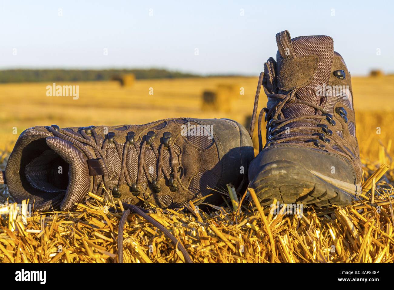 Scarponi da trekking al sole serale su un campo Foto Stock
