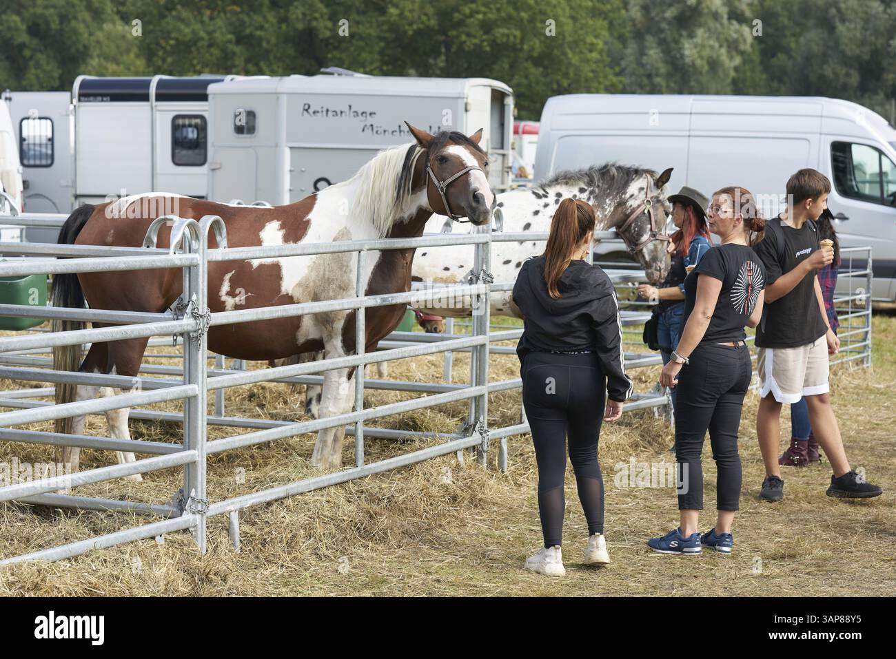 Cavallo in vendita e alcune parti interessate al mercato dei cavalli di Havelberg Foto Stock