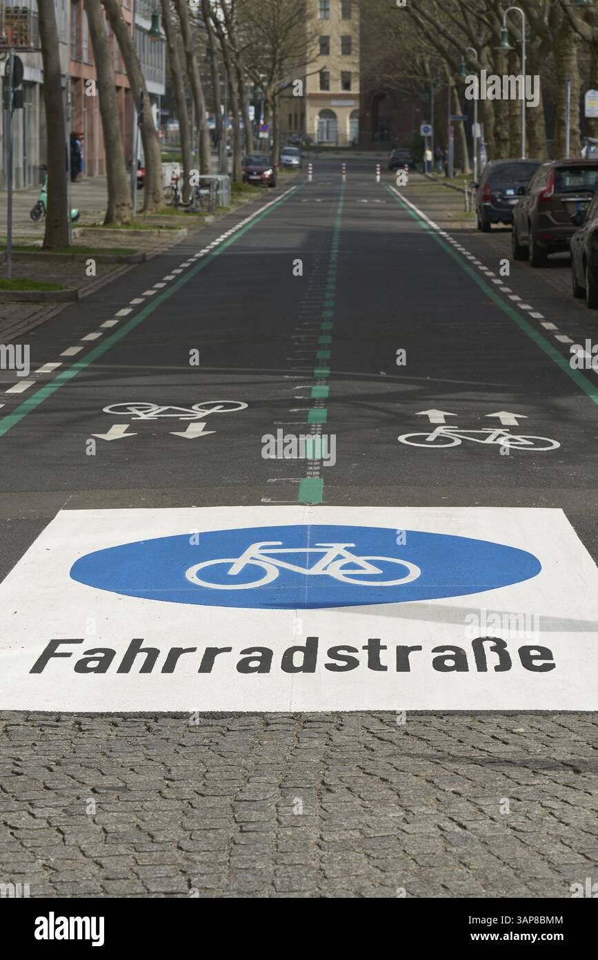 Pista ciclabile a Berlin-Mitte Foto Stock Pista ciclabile a Berlin-Mitte Foto Stock