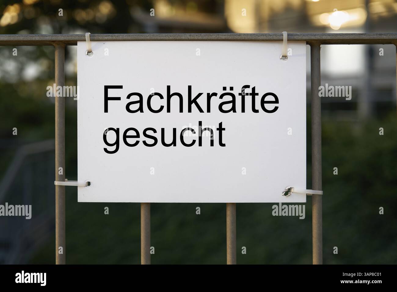 Firma con l'iscrizione tedesca Fachkraefte gesucht (manodopera qualificata richiesta), che indica la carenza di lavoratori qualificati in Germania Foto Stock