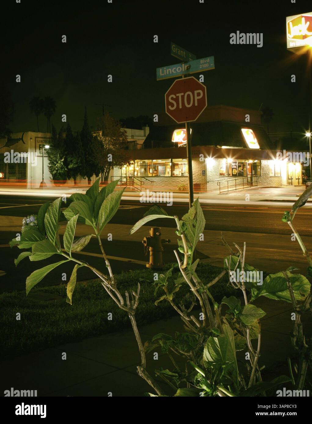 Un negozio in una strada a Los Angeles, Stati Uniti, Nord America Foto Stock