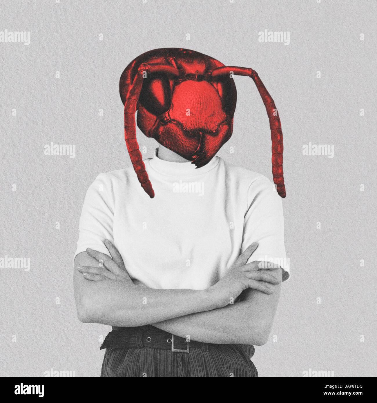 Illustrazione in collage ritratto astratto del corpo di donna con testa di vespa rossa. Modello in piedi con le braccia incrociate. Immagine in bianco e nero. Grunge, rumore e molto altro Foto Stock