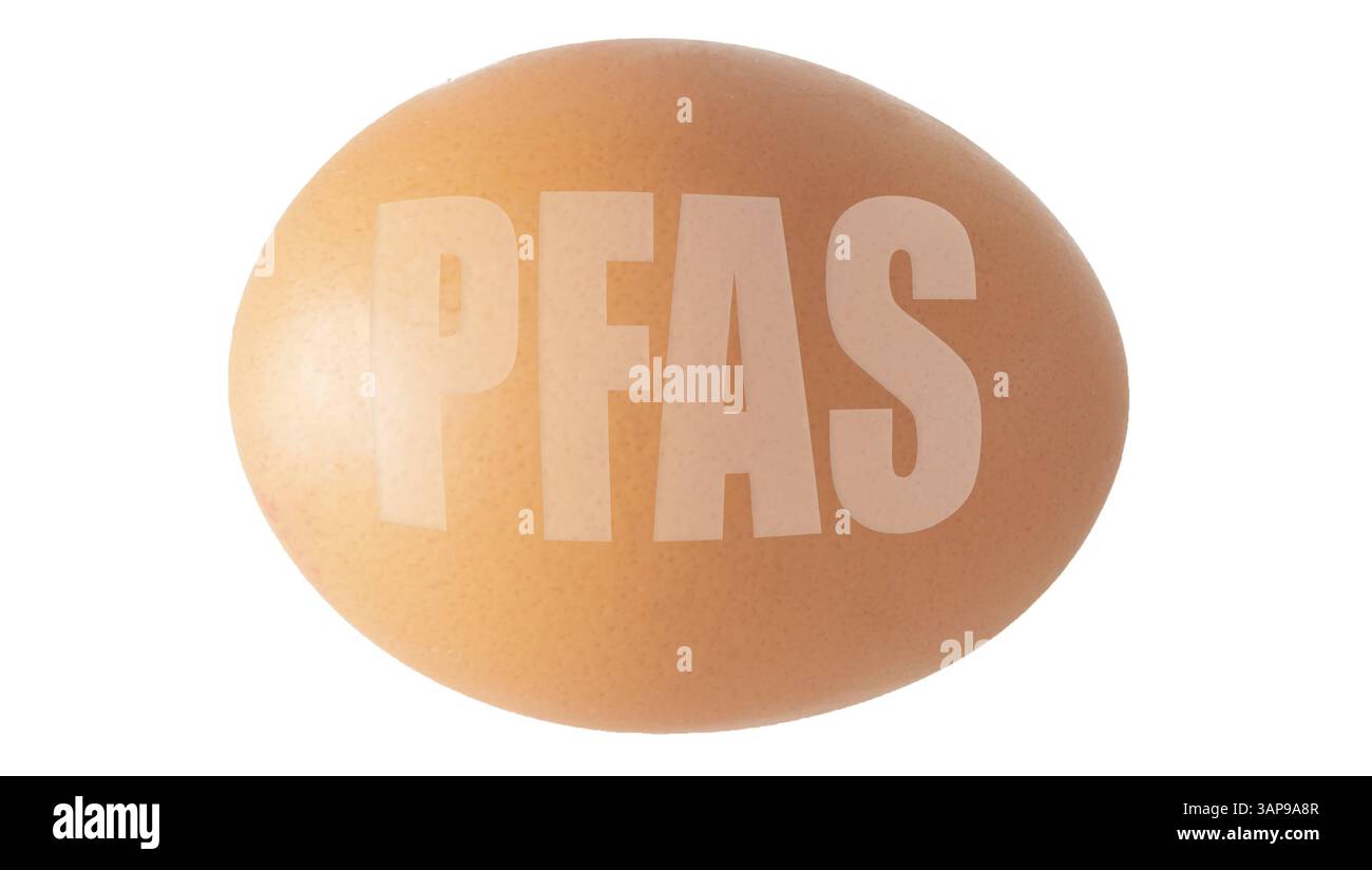 Uovo di polli marrone composito digitale su sfondo bianco con le lettere PFAS. Nei Paesi Bassi il governo dell'Istituto nazionale per la sanità pubblica e il RIVM per l'ambiente ha lanciato un avvertimento per non mangiare uova di polli tenuti come hobby o su allotti, a causa della possibilità che vi siano PFAS che potrebbero avere un effetto negativo sulla salute. Le sostanze PFAS per- e polifluoroalchiliche sono spesso chiamate sostanze chimiche eterne in quanto si rompono nel tempo. inquinamento, inquinato, industria, industriale, Foto Stock