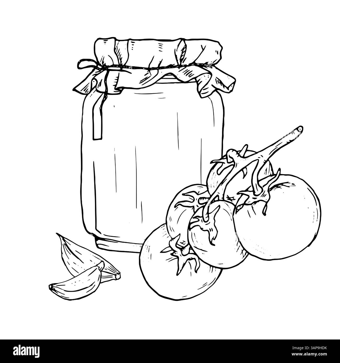 Un vaso di vetro legato con un tovagliolo e una corda di canapa. Pomodori su un rametto e spicchi d'aglio, schizzo d'inchiostro. Illustrazione vettoriale in bianco e nero. Piatti in ceramica Illustrazione Vettoriale