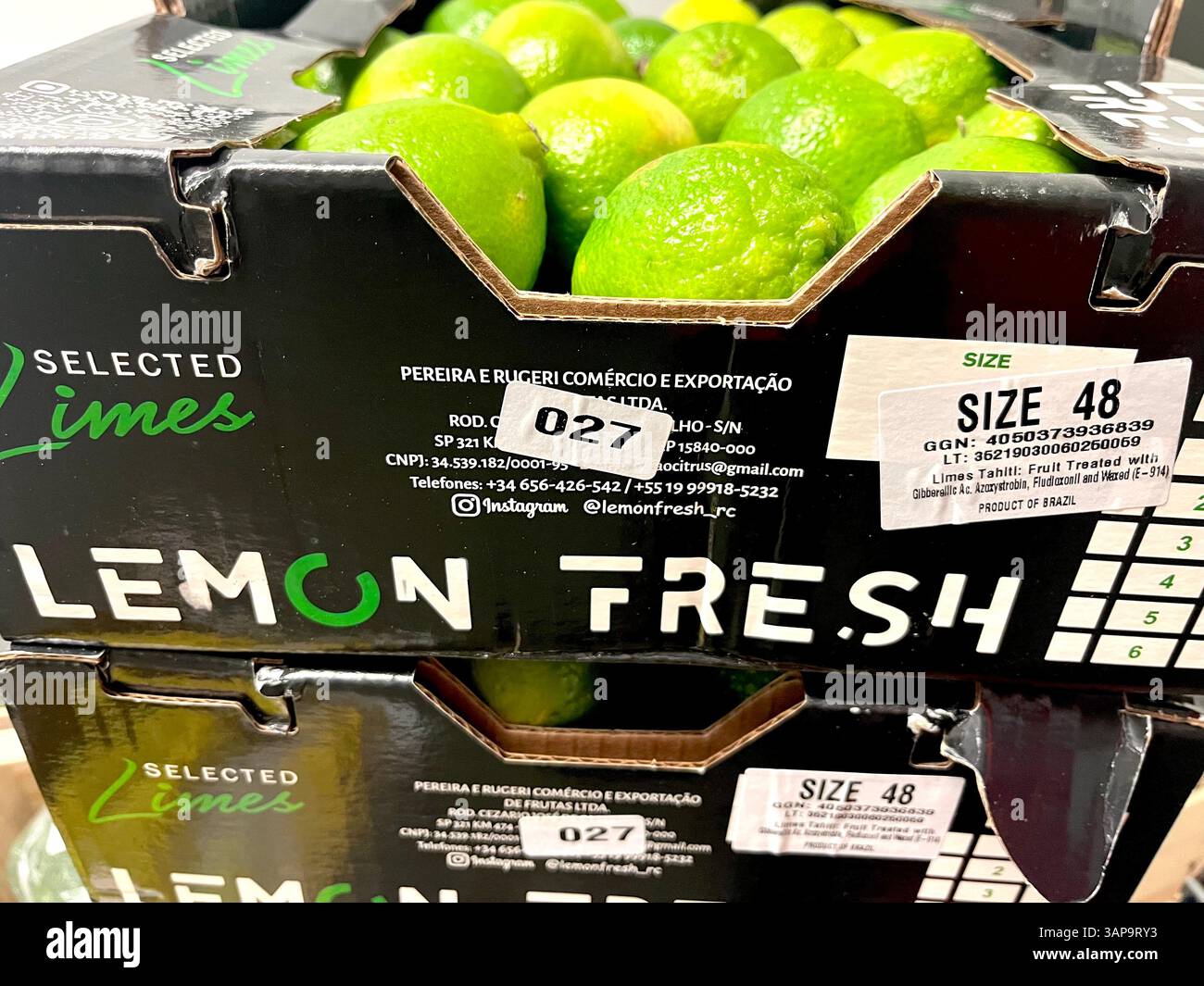 Limes selezionati di dimensioni 48 marchiati da Lemon Fresh in una cassa etichettata, pronti per la distribuzione o la vendita al dettaglio, prodotti agrumati freschi del Brasile esportati Foto Stock