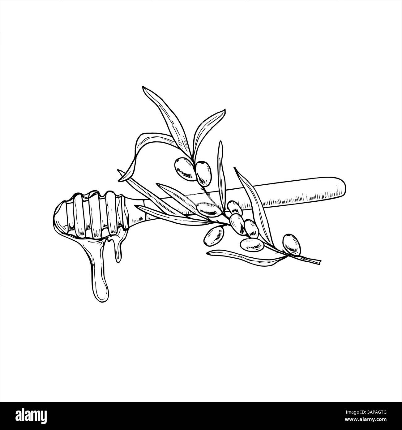 Bastoncino di legno al miele con gocciolatoio di sciroppo e spigolo marino illustrazione isolata con vettore disegnato a mano. Dolcezza naturale e sana gocciolando dal cucchiaio Illustrazione Vettoriale
