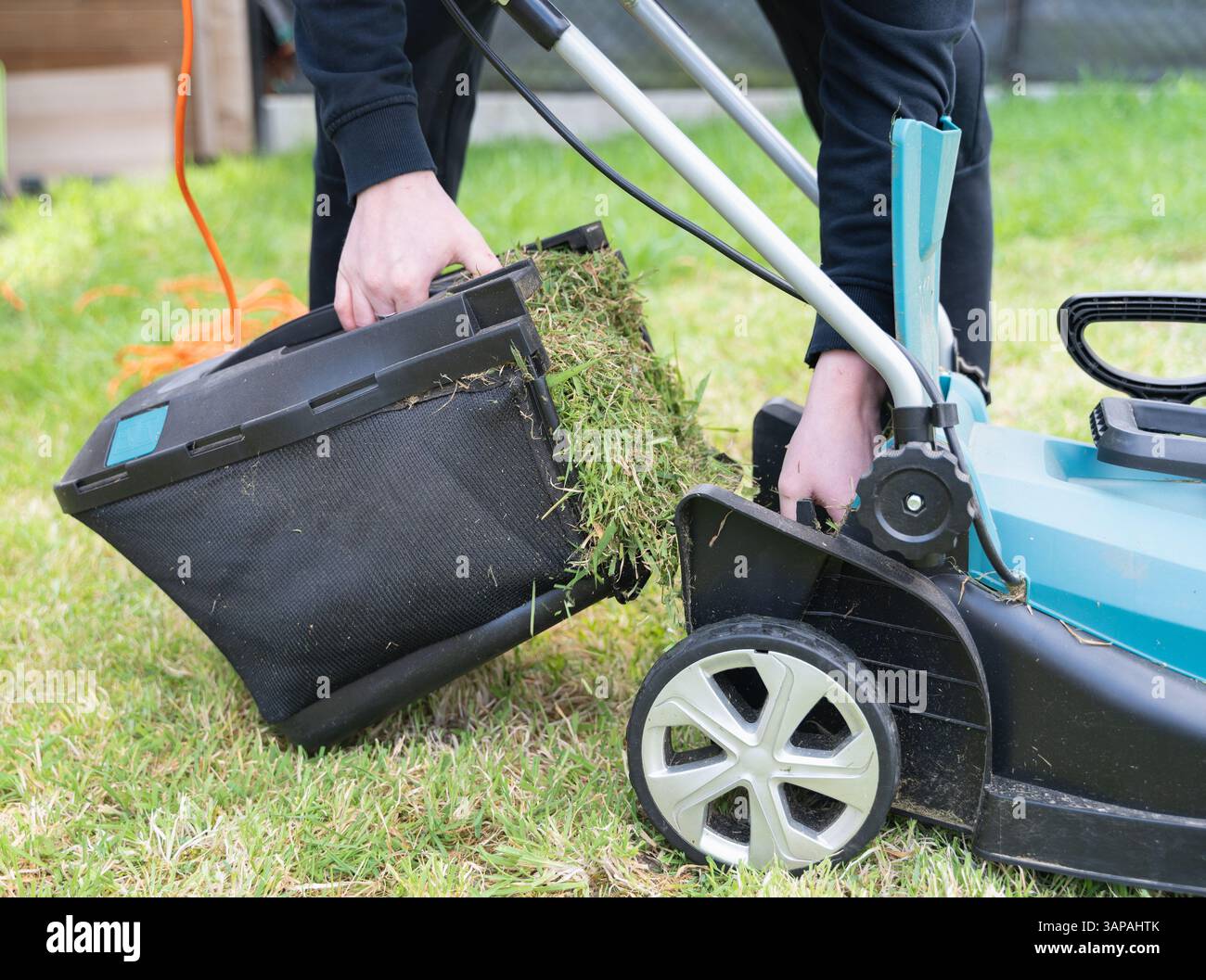 Un individuo sta attualmente utilizzando un rasaerba per tagliare e mantenere in modo efficiente l'erba nel proprio cortile o giardino Foto Stock