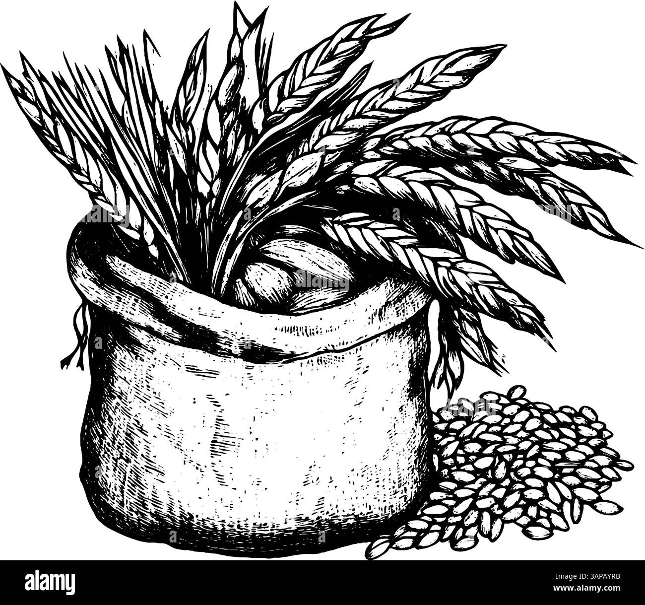 Una rappresentazione in stile vintage di una borsa in burlap piena di chicchi di caffè, che enfatizza le consistenze e i contorni della borsa e il suo contenuto. I ricchi dettagli evidenziano il fascino del caffè Illustrazione Vettoriale