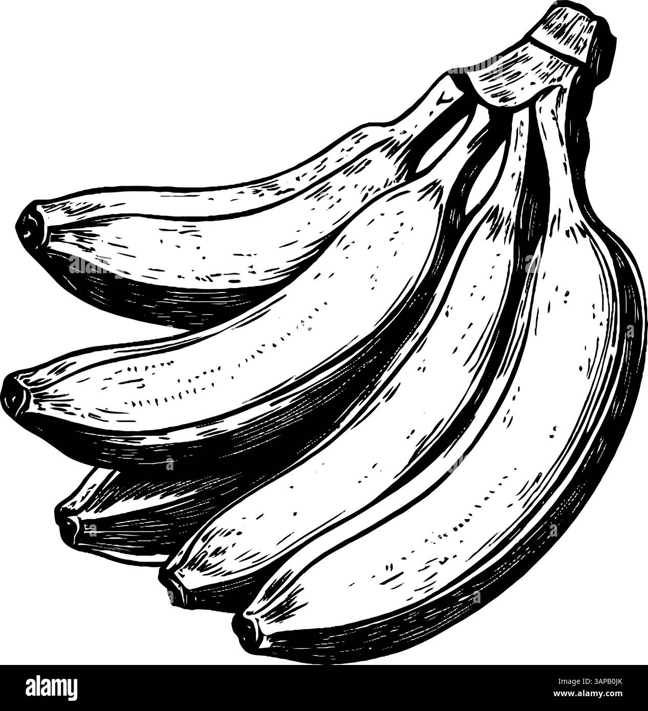 Questo taglio vintage è caratterizzato da due polli che si nutrono tra alte erbe e fiori selvatici Illustrazione Vettoriale