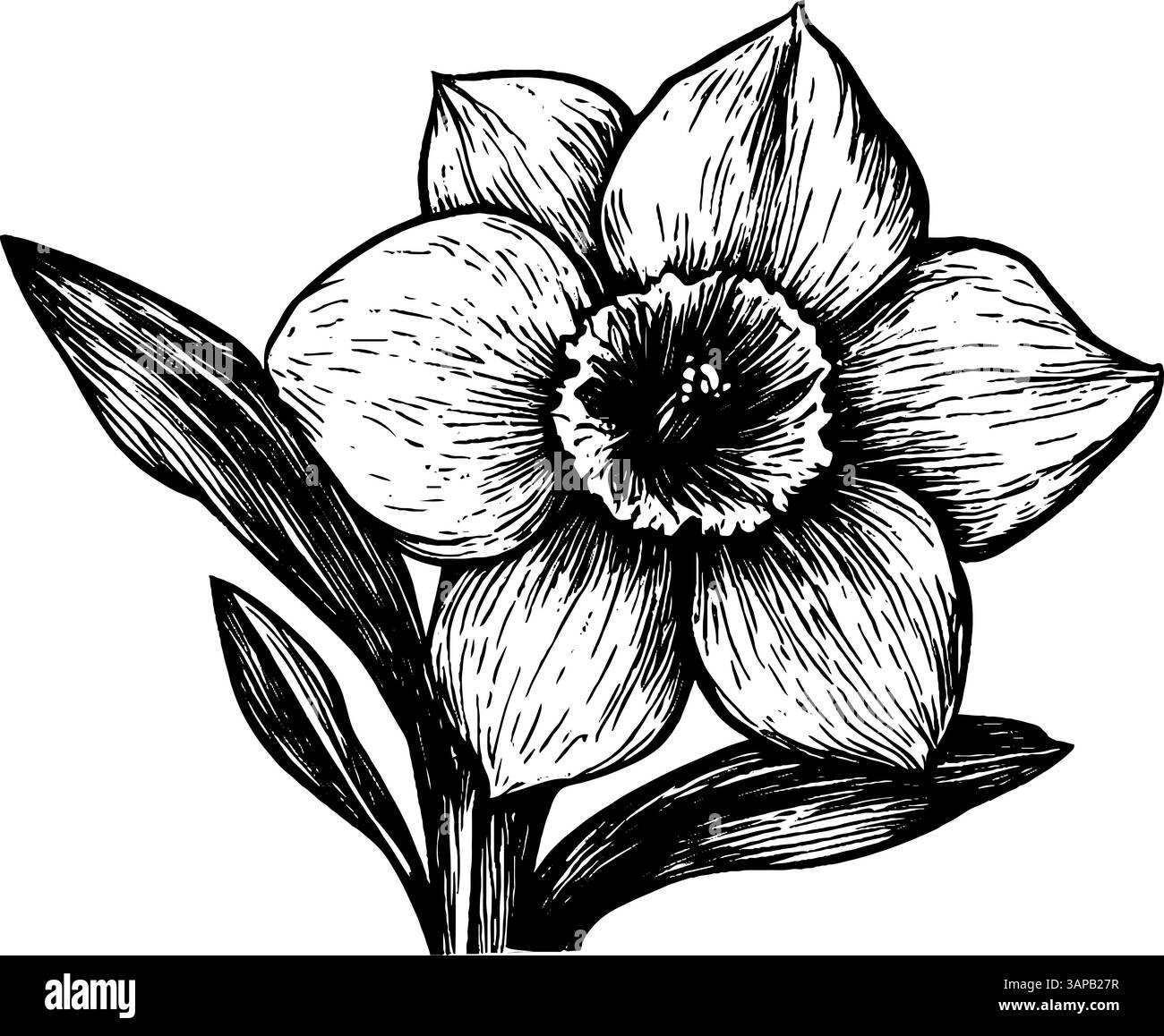 Un corvo prende l'aria in questa illustrazione vintage a taglio di legno, sottolineandone le ali dinamiche e le caratteristiche dettagliate Illustrazione Vettoriale