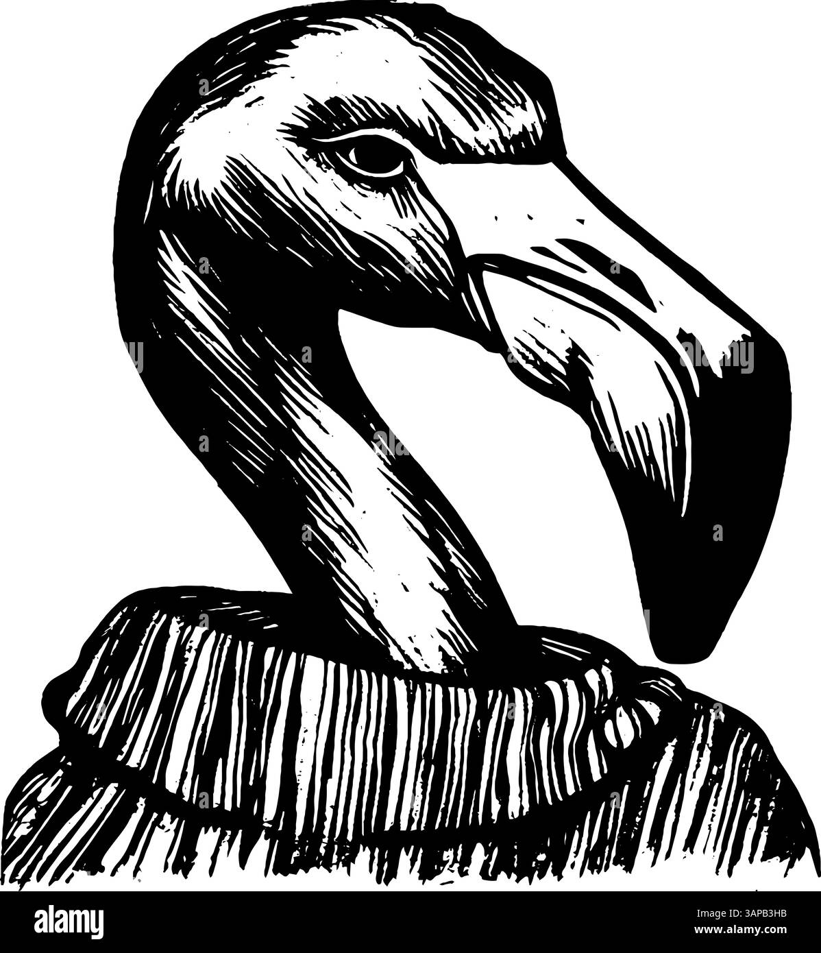 Questa dettagliata illustrazione incisa su legno cattura un fenicottero in posa naturale, seduto graziosamente tra l'erba lussureggiante Illustrazione Vettoriale