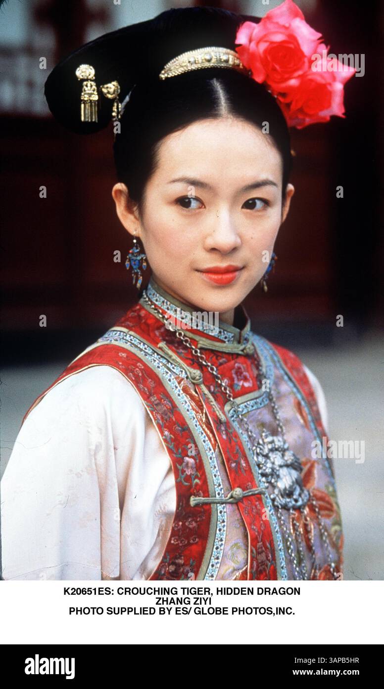 1 GENNAIO 2011 - K20651ES: CROUCHING TIGER, HIDDEN DRAGON. ZHANG ZIYI. FORNITO DA ES/(immagine di credito: © Globe Photos/ZUMAPRESS.com) Foto Stock