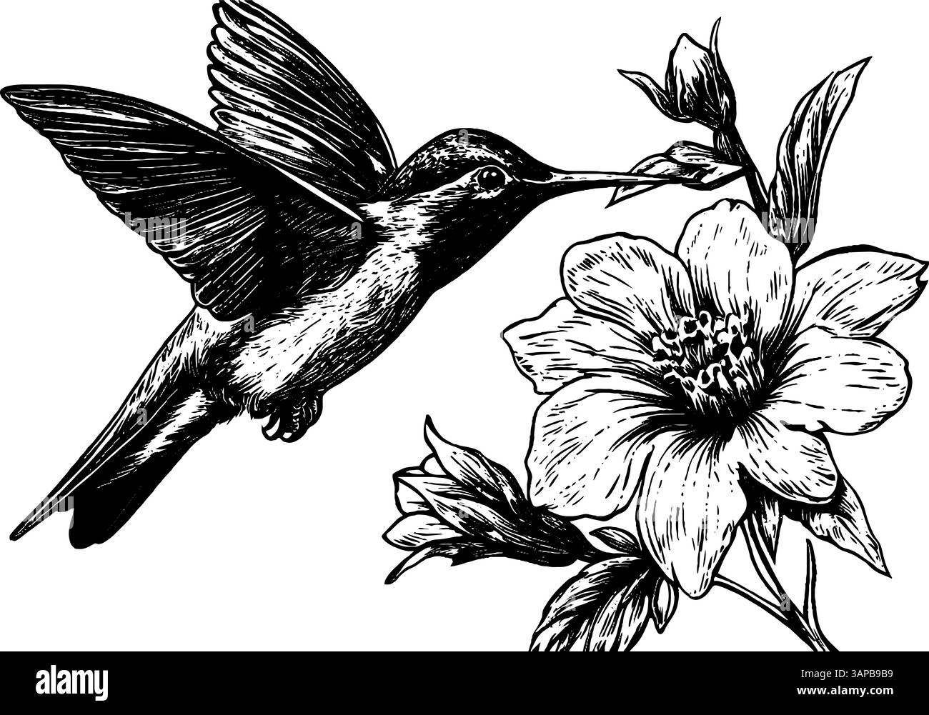 Questa illustrazione vintage su legno raffigura un cavallo in galoppo, che mostra la sua costruzione potente e la sua criniera fluente Illustrazione Vettoriale