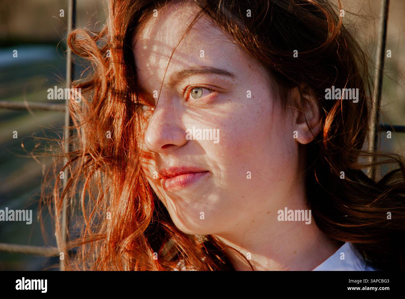 Giovane donna contemplativa alla luce del sole con capelli naturali. Foto Stock