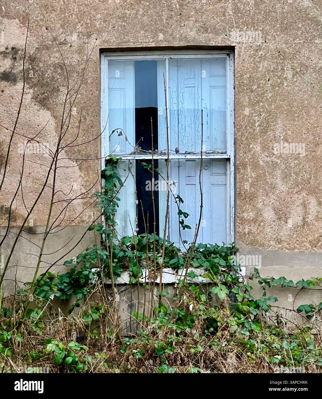Vecchia vetrina sovrastata in una casa abbandonata, nel nord dello Yorkshire, Regno Unito Foto Stock