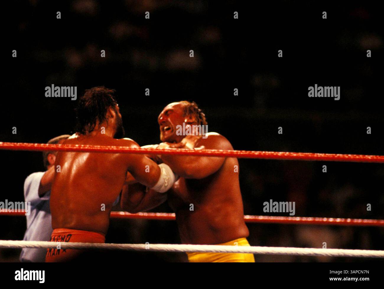 1 gennaio 2011 - New York, New York, Stati Uniti - F8092.HULK HOGAN E MACHO MAN. / 1989 (immagine di credito: © John Barrett/Globe Photos/ZUMAPRESS.com) Foto Stock 1 gennaio 2011 - New York, New York, Stati Uniti - F8092.HULK HOGAN E MACHO MAN. / 1989 (immagine di credito: © John Barrett/Globe Photos/ZUMAPRESS.com) Foto Stock