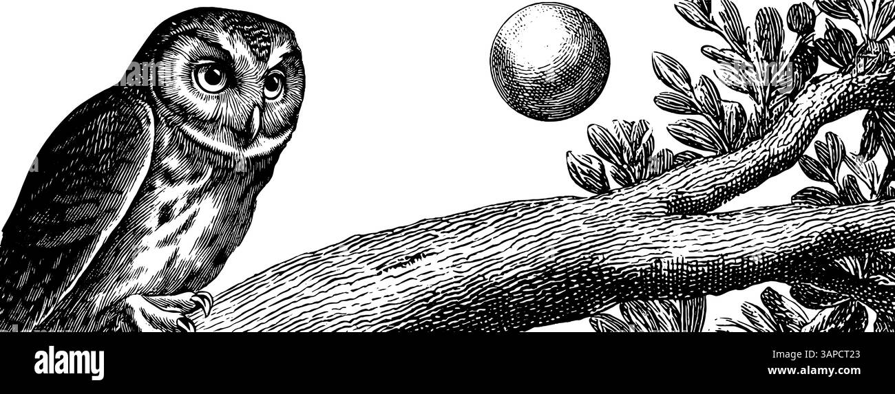 Scena all'aperto incisa con lanterna, mobili in legno e ciotola per il fuoco. Illustrazione Vettoriale