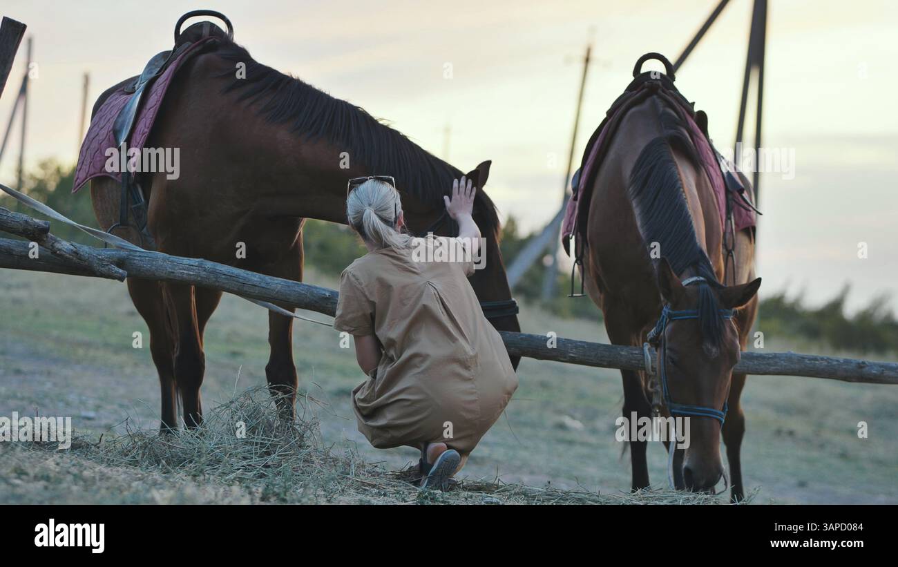 Donna rancher che cura i cavalli in un paddock illuminato dal sole, catturando un tranquillo momento pastorale Foto Stock